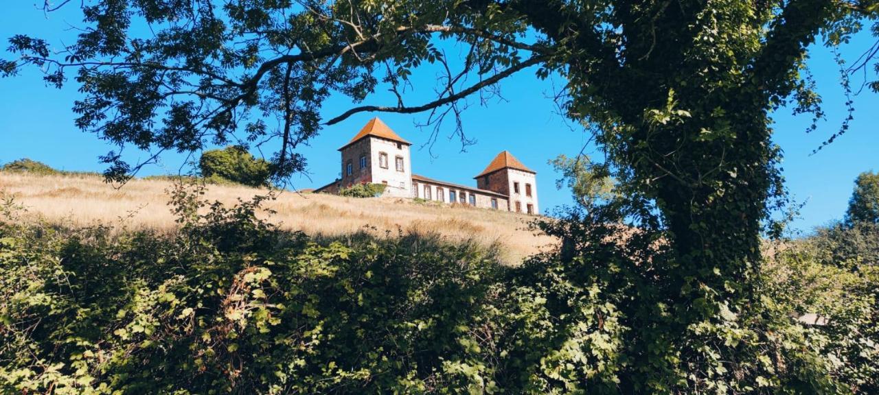 Chateau De Gorze Germolles-sur-Grosne Ngoại thất bức ảnh